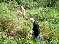 clearing the pond a bit !