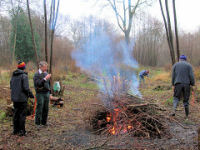 Coppicing in Park Wood